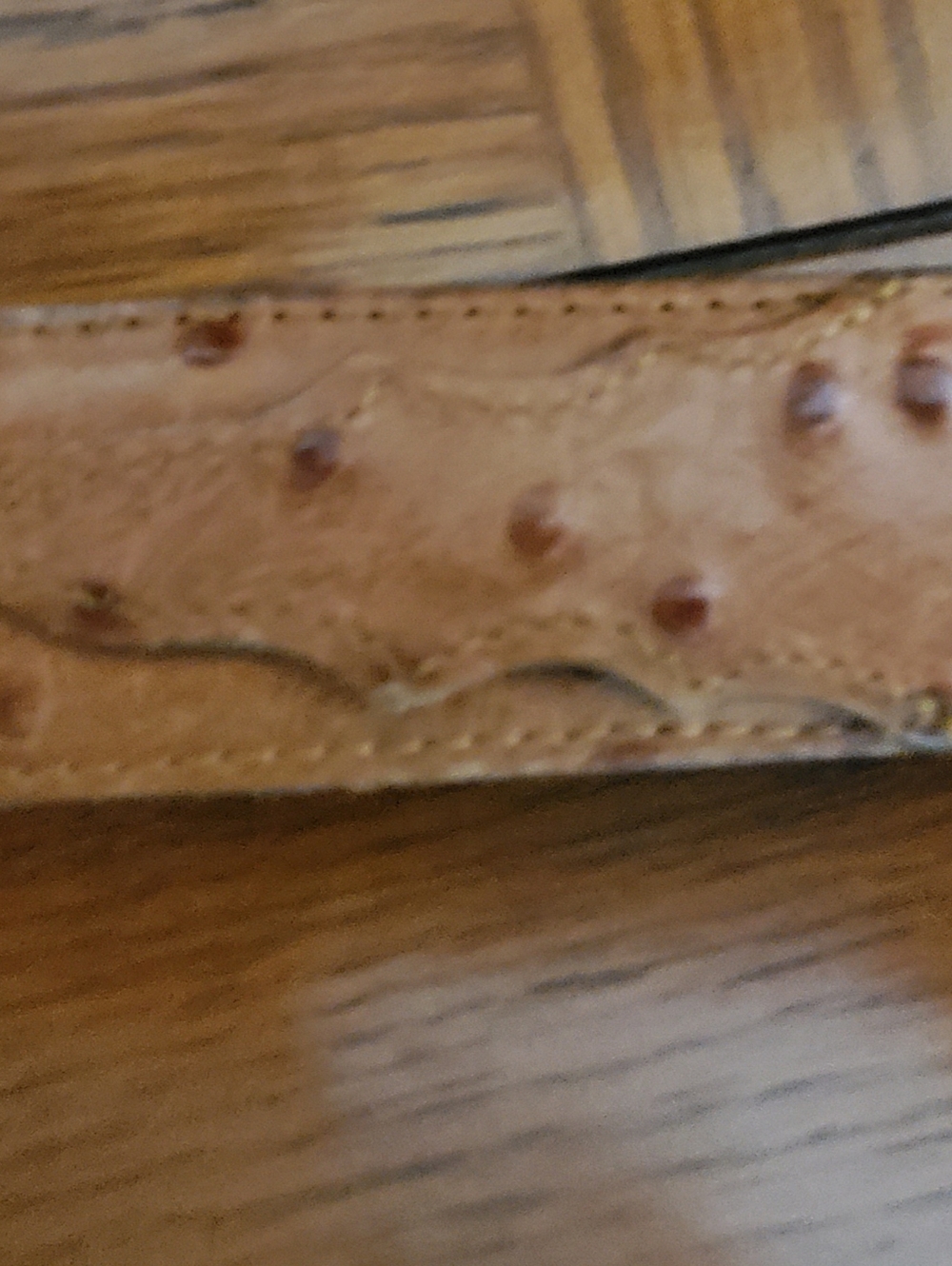 Tony Lama Tan Leather Ostrich Belt with Silver Buckle - Picture 5 of 6